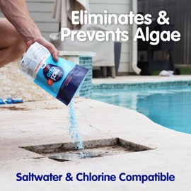 Eeziblue Monthly Algaecide for Swimming Pool, Pool Algaecide for Inground Pool & Above Ground Pool - Effective Monthly Treatment to Prevent Algae Growth up to 20,000 Gallons