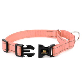 Plutus Pet Reflective Martingale Collar with Buckle - Durable and Adjustable Training Collar for No Pulling, Dog Choker Collar for Small Medium Large Dogs, Pink, S