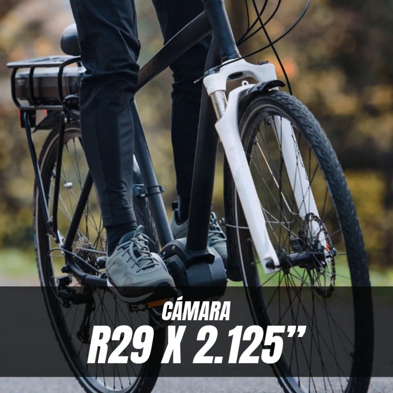 Cámara Para Bicicleta R29 X 2.125 Válvula Americana