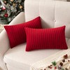 UGASA Pack of 2 Christmas Velvet Pillow Covers Striped, Soft