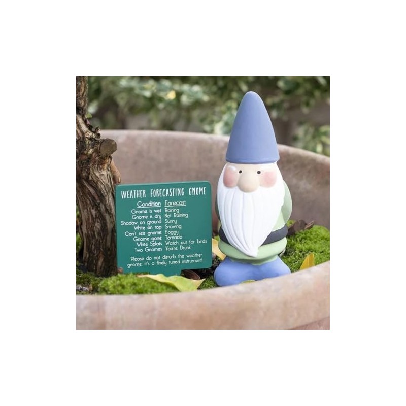 something different Terracotta Weather Gnome