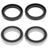 All Balls Racing 25-1595 Rear Wheel Bearing Kit Compatible with/Replacement