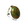 Rainforest Jasper Ring Sterling Silver 925 - Size: 62 -