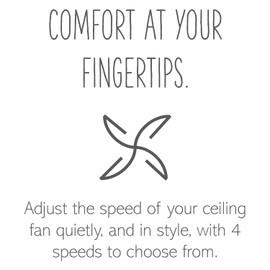 Paddle Fan Speed Control