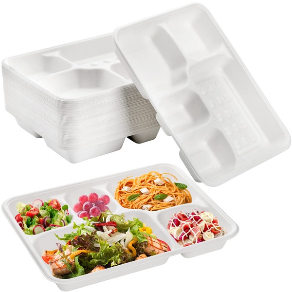 Hacaroa 50 Pack 5-Compartment Compostable Paper Plates, Natural Disposable Bagasse Plates School Lunch Trays, Rectangular Divided Plates for Party, Picnic, Eco-Friendly, Biodegradable, White