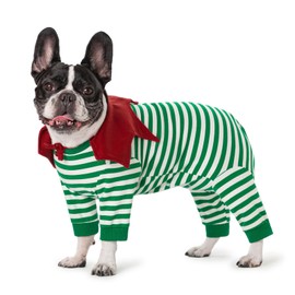 Dog’s Recovery Suit,Puppy Dogs Cats Long Sleeve Onesies Bodysuit After Surgery Wound Protective,Dog Surgery Recovery Suit (Green Striped, S)