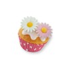 Küchle Decorative Flowers, Pack of 12, Vegan, Delicate Flowers as