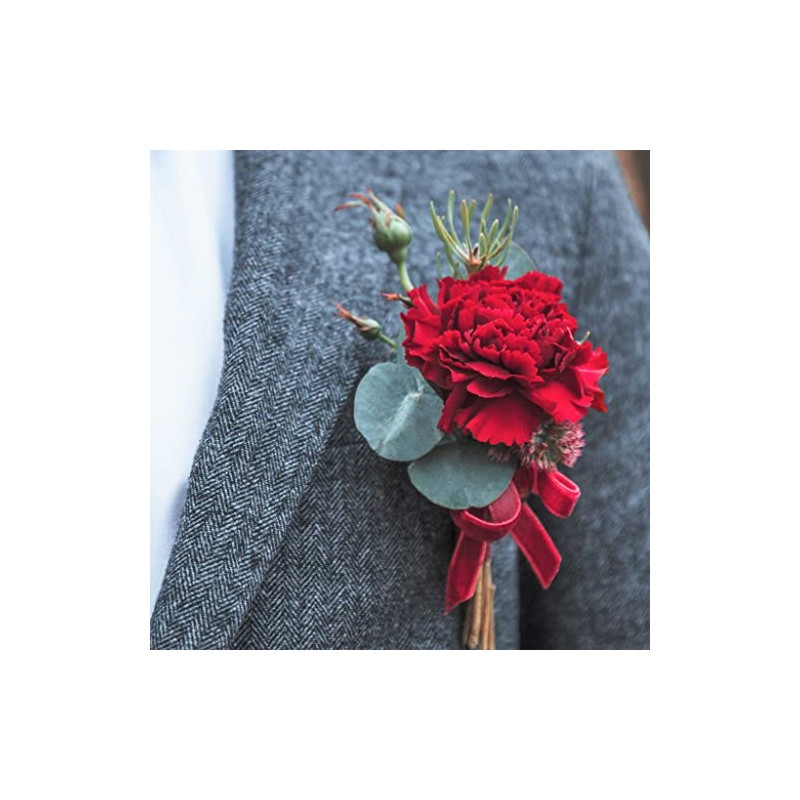 Eden Brothers Carnation Seeds - Etincellant