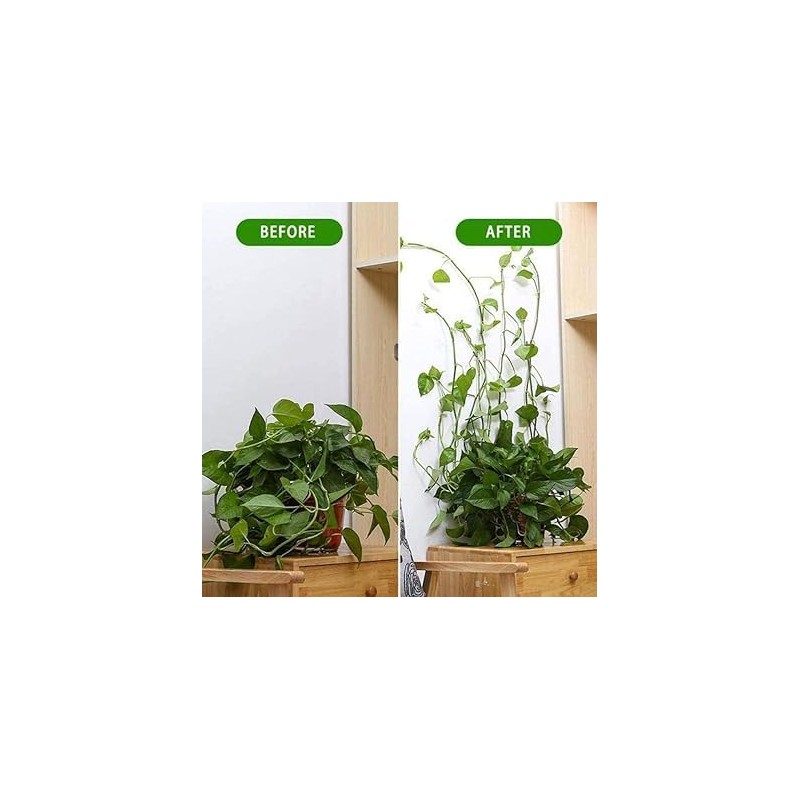 10Pcs White Plant Climbing Wall Self-Adhesive Fixed Clip Climbing Vine