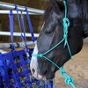 Majestic Ally 1/4" Rope 4 Knot Stiff Polyester Training Halter