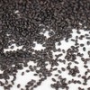 Genovese Basil Microgreens Seeds - 4 oz ~ 64,000 Seeds