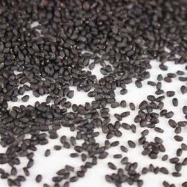 Genovese Basil Microgreens Seeds - 4 oz ~ 64,000 Seeds - Non-GMO Bulk Seed for Growing Micro Herbs, Indoor Gardening, Herb Garden, Micro Greens