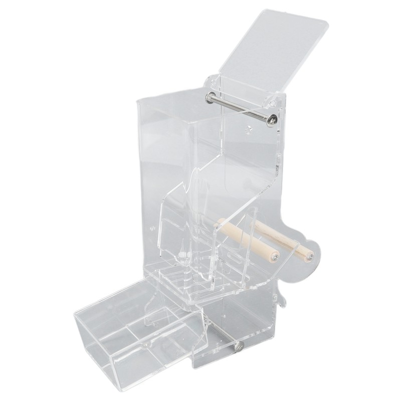 Automatic Parrot Feeder Prevent Spillage and Splashing Easy Installation Acrylic