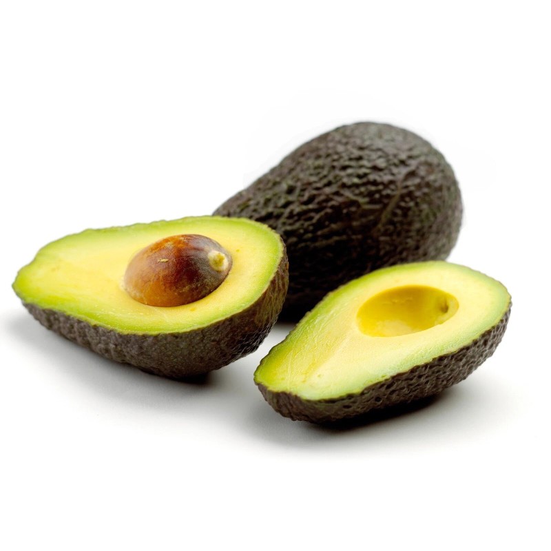 Avocado Tree 10” With Pot Seedling Live Plant Ready To