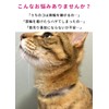ぽぽねこ バンダナ付き猫首輪 MUJIコットンプレーン セイフティバックル・鈴付き・ハゲにくい (浅緑, M)