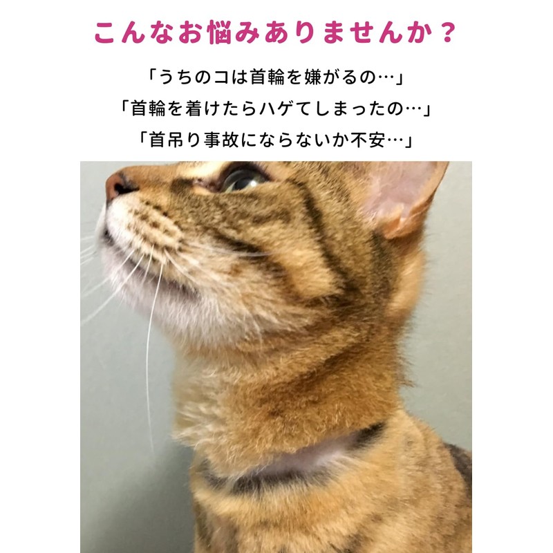 ぽぽねこ バンダナ付き猫首輪 MUJIコットンプレーン セイフティバックル・鈴付き・ハゲにくい (浅緑, M)