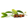 Aceite JYE Jojoba 100% Puro 60 ML