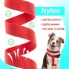 No Pull Dog Harness - Adjustable Step-in Harness & Leash