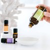 ECO. Modern Essentials Jojoba Carrier Oil, 95ml