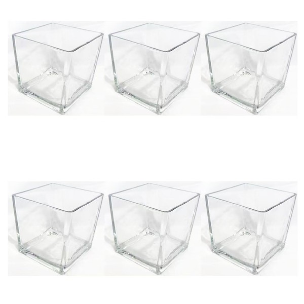 Glass Flower Vase, Square Centerpiece, Clear, 4 x 4 x