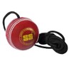 SS Legend Hanging Ball for Bat Knocking,Practice with Reaction String,