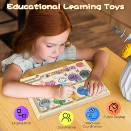 lahnao Magnetic Game Labyrinth, Colours Learning Sorting Game, Montessori Toy for Children from 3 Years, Magnetic Wooden Toy for Toddlers, Boys and Girls