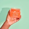 Tree Hut Body Scrub Bikini Leaf 510g