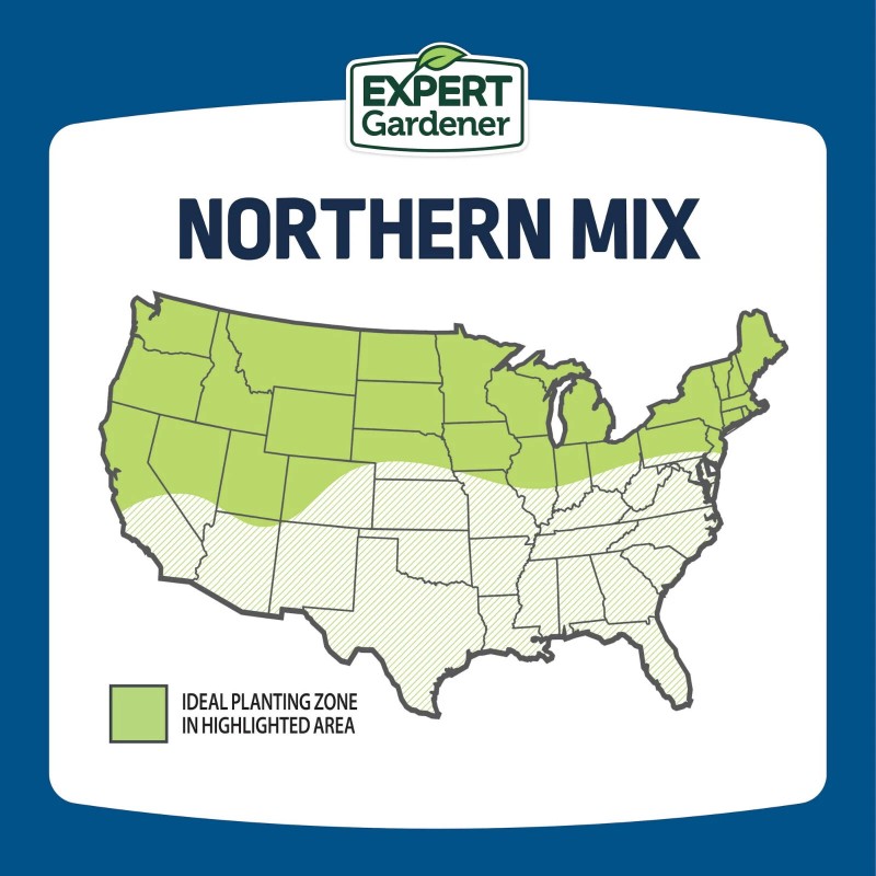 Expert Gardener Kentucky Bluegrass Northern Grass Seed Mix, for Sun