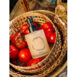 Tomato Garden Body Wash / 토마토 가든 바디워시