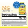 Nature's Life Bromelain & Papain | Proteolytic Enzymes for Digestive