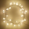 Lights4fun Indoor Star String Fairy Lights with 30 Warm White
