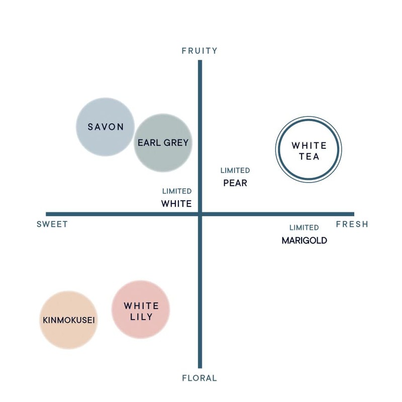 SHIRO White Tea Clay Hand Soap, 5.1 fl oz (145