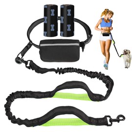 UPET Hands Free Dog Leash Professional Reflective Training leashes Small Medium and Large Dogs Accessories Leads Suitable for Running Walking Jogging Hiking Adjustable Waist Belt Zipper Pouch（Green）