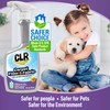 CLR Stain-Free Carpet, Floor & Fabric, Fast-Acting Stain Remover, 26