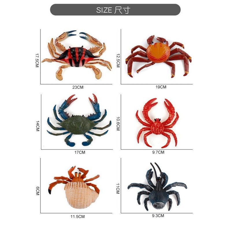Neko Kamiyama, Coconut Crab, Sea Fish Crab, Sea Fish, Rock,