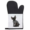 'Devon Rex Kitten' Oven Glove/Mitt (OG00010424)