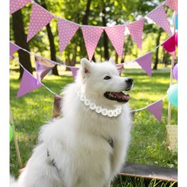 Collar De Perlas Gruesas para Perro(Cuentas De 20 Mm), Elegante Y Clásico Collar De Perlas Extragrandes, Accesorio para Ocasiones Y Reuniones con Perros Medianos Y Grandes(Blanco, Talla XL