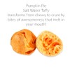 Freeze Dried Candy PUMPKIN PIE Salt Water Taffy - 2