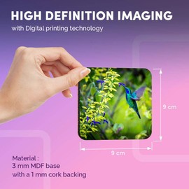 Destination Vinyl ltd Great Coasters (Set of 4) Square - Green Violet Ear Hummingbird Bird Drink Glossy Coasters/Tabletop Protection for Any Table Type #16520