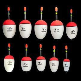 10 Sizes to Choose, 10 to 100g EVA Luminous Fishing Float for Sea Fishing Carp Tackle (10g)