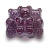 WinCrest Assorted Flavor Gummi Bears - 1.5 Lb Tub (Concord
