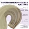 fshine Human Hair Clip in Extensions 22 Inch Ash Blonde