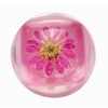 Blossom Blossom Lip Gloss Duo Rugs, Rugs, Hawaiian Hawaii Hawaii