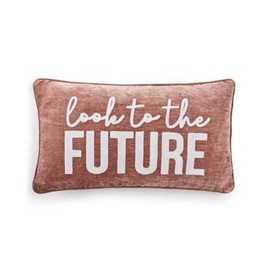 Lacourte Look to The Future Pillow Blush 14x24
