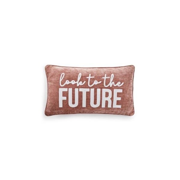 Lacourte Look to The Future Pillow Blush 14x24