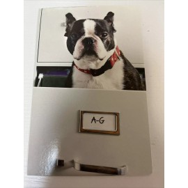 american greetings Puppy In A File Congratulatory