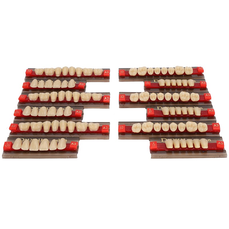 Dental Synthetic Resin False Teeth Dental Material Teeth Denture Dentist