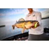 Berkley Gulp! Minnow Fishing Soft Bait, Blue Shiner, 2 1/2"
