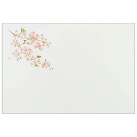 Nagao 31030 Placemats, Cherry Blossoms, 100 Pieces, 10.2 x 15.0 inches (26 x 38 cm), Made in Japan