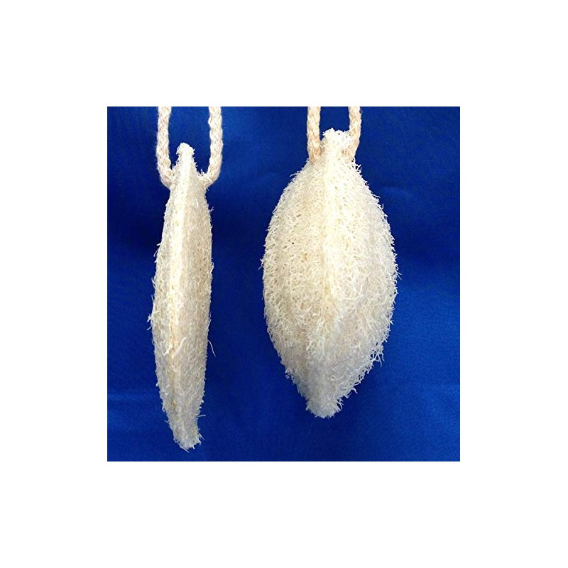 LoofCo Cleaning Pad 2-pack SET OF 2